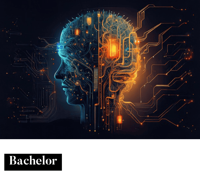 (3007140) Bachelor of Information Technology